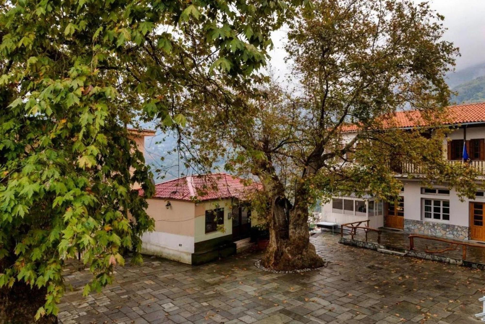 Hara'S House Pelion Makrirrákhi Exterior foto