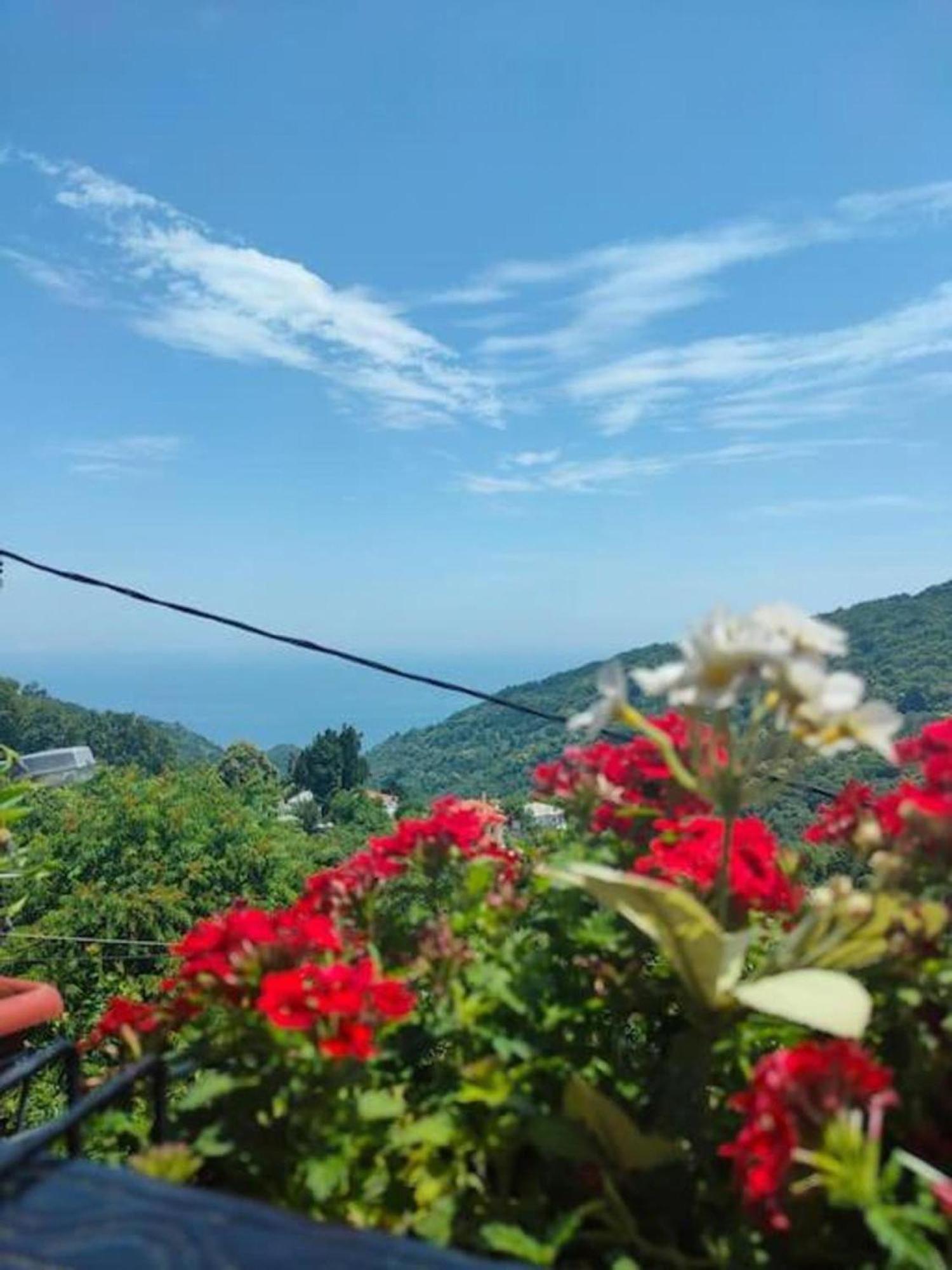 Hara'S House Pelion Makrirrákhi Exterior foto
