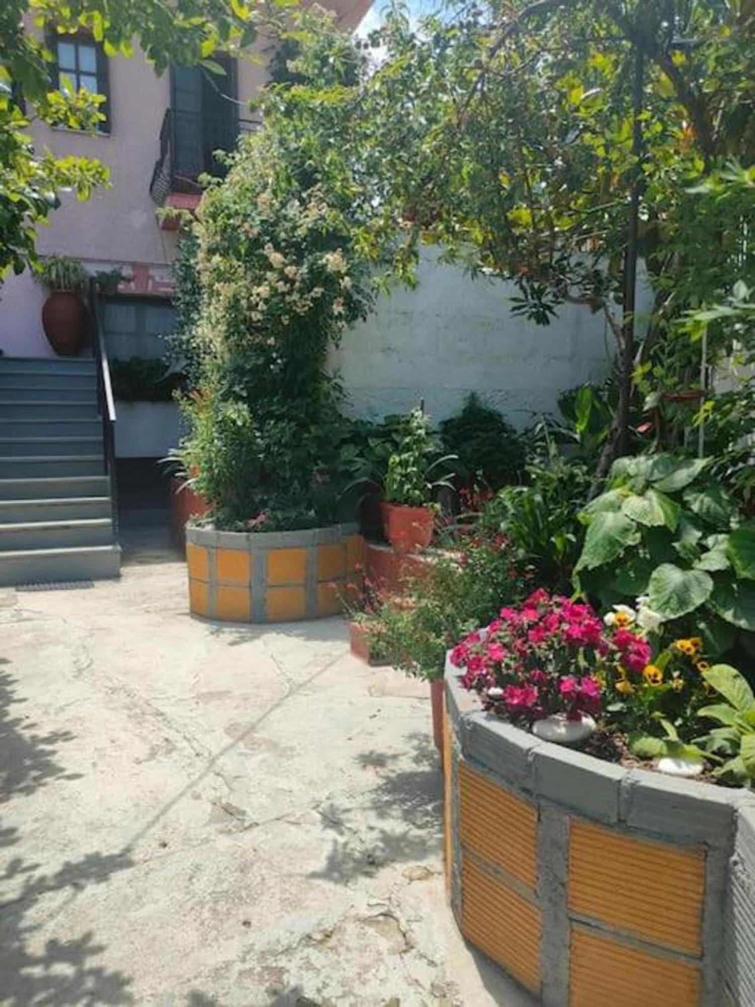 Hara'S House Pelion Makrirrákhi Exterior foto
